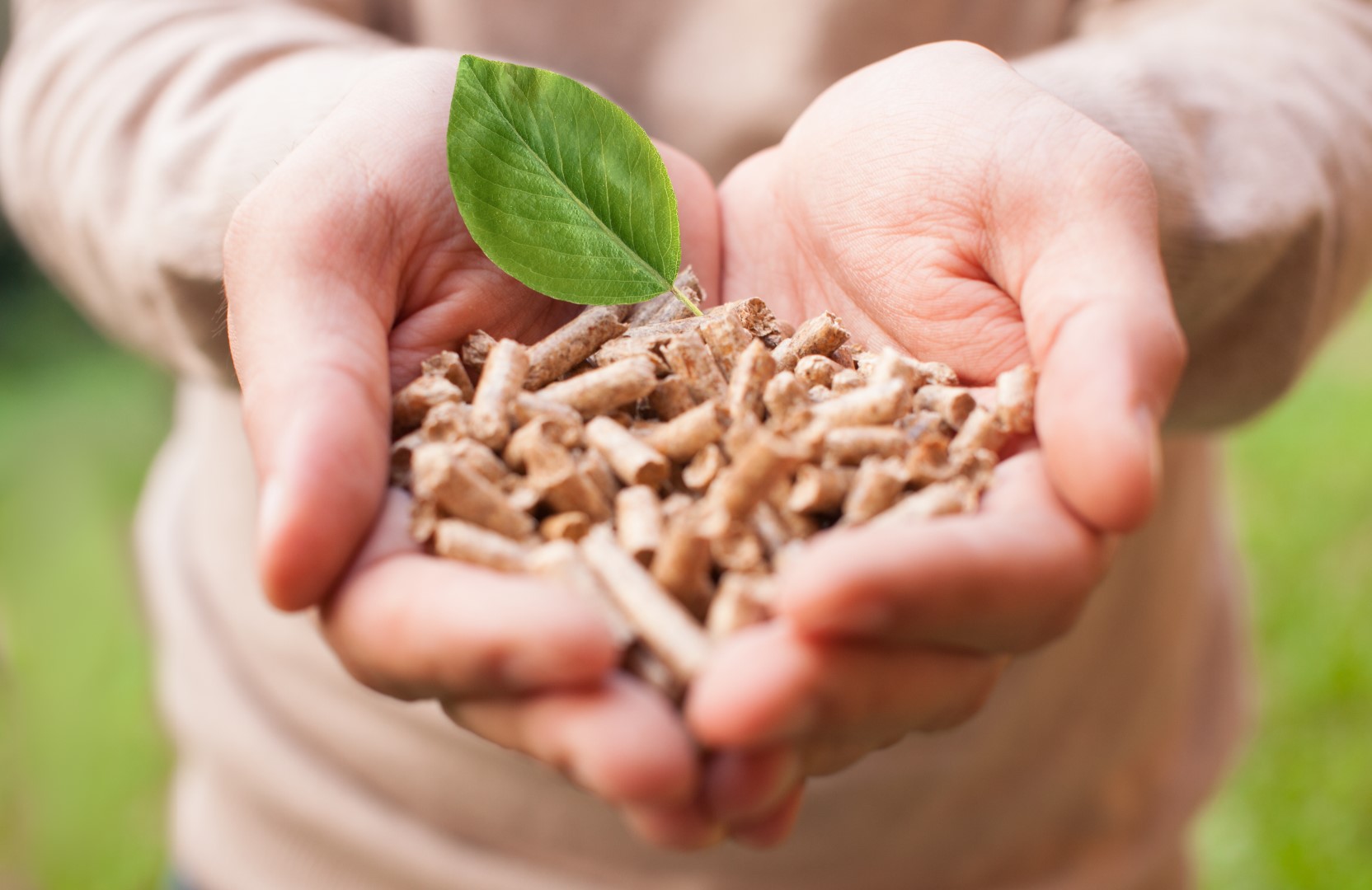 Pellet écologique